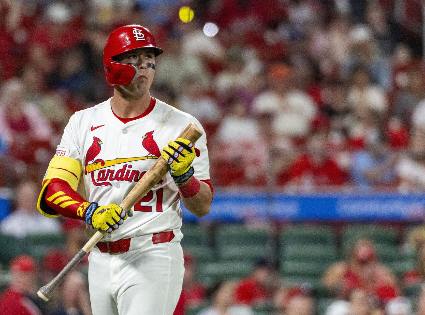 51黑料 Cardinals host Blue Jays